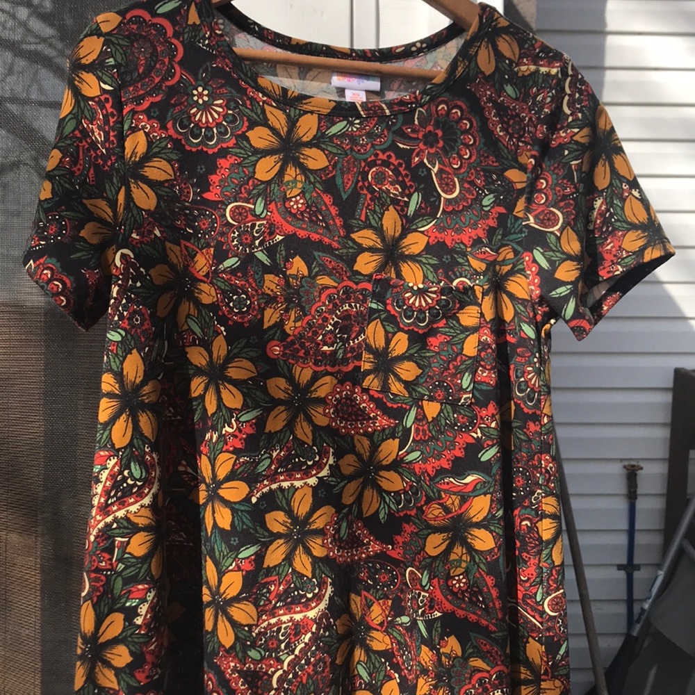 EUC Lularoe Carly xs